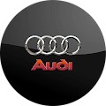Audi Fan